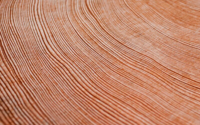 Redwood as a Building Material for Your Home