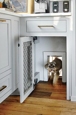 Hidden Pet Door