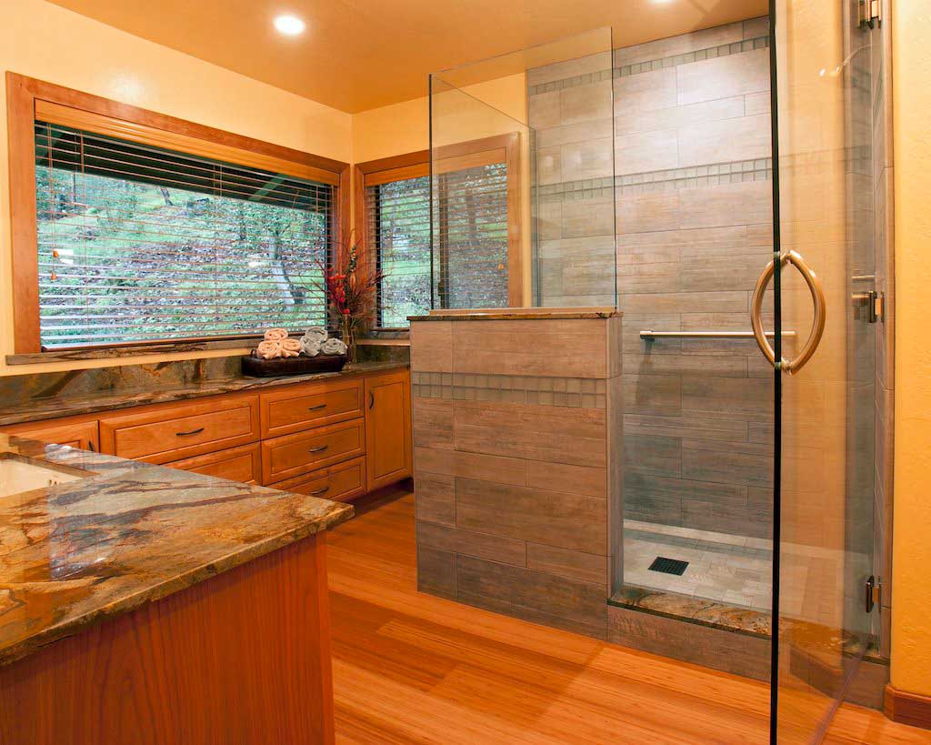 Aptos Aging In Place Bathroom