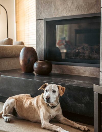 Mid-Century Modern Fireplace Remodel | Santa Cruz, CA