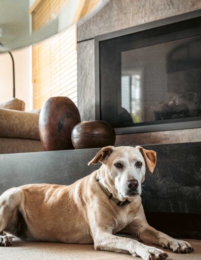 Mid-Century Modern Fireplace Remodel | Santa Cruz, CA