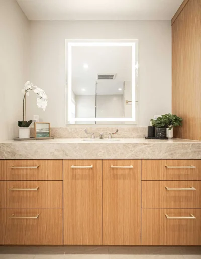 Primary Suite Expansion in La Selva, CA